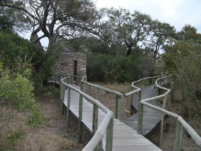 20090812233200 - Elevated Walkway at Kruger Rest Camp