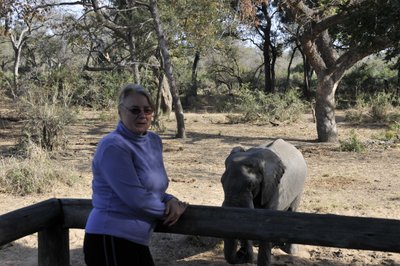 20090814080509 - Kathy with Young Elephant at Lodge