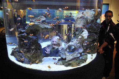 20090818035924 - Kathy at Clownfish Aquarium Exhibit