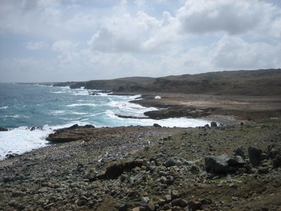 Rocky Shore