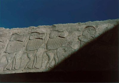 Baboon Frieze